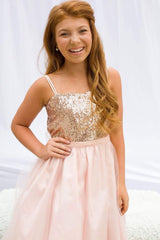 Blush Sequin Top Dress With Tulle Skirt