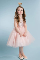 Champagne Sequin Top Dress With Tulle Skirt