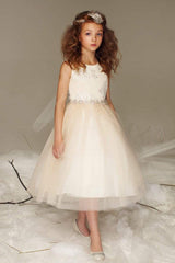 Lace Embroidered Sequin Top Dress With Two Tone Full Tulle Skirt
