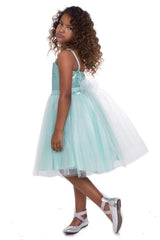 Mint Sequin Top Dress With Tulle Skirt